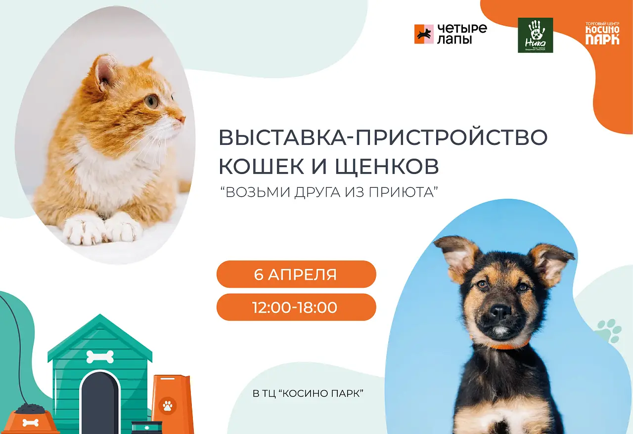 Выставка-пристройство в ТРЦ Косино парк